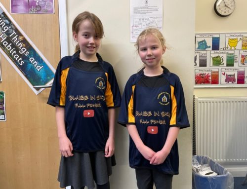 New Netball and Football Kits- Thanks to our Sponsors!