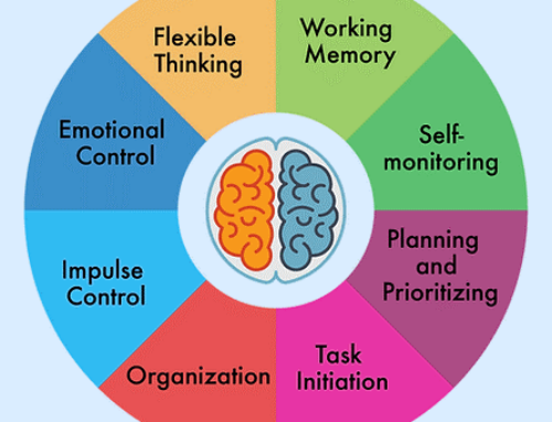 Miss Webb’s ‘Self Regulation and Executive Functioning’ powerpoint for Parents