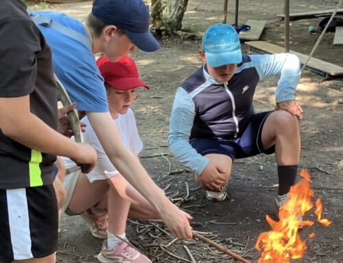 Year 6 Bushcrafting!