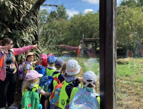 The Cotswold Wildlife Park