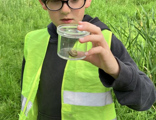 Y5 & 6 Eythrope River study field trip